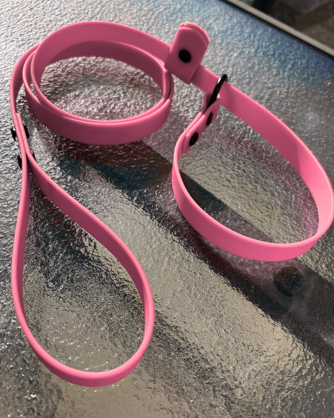 Laisse lasso en Biothane pour chien - Fait Main au Québec