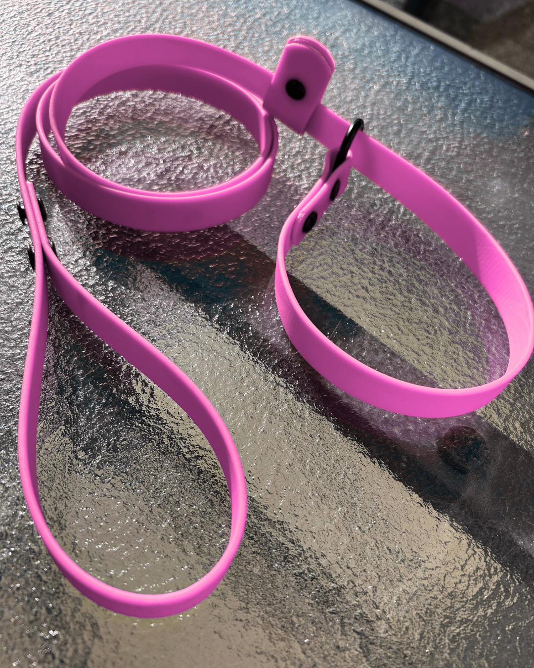 Laisse lasso en Biothane pour chien - Fait Main au Québec