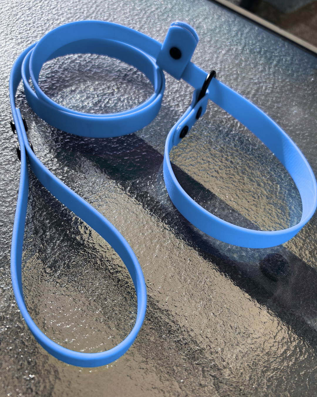 Laisse lasso en Biothane pour chien - Fait Main au Québec