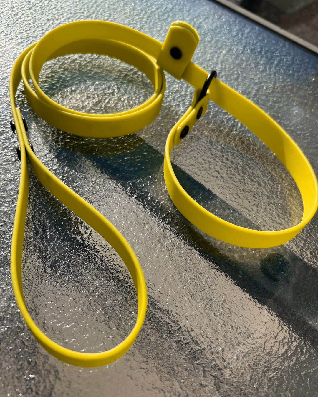 Laisse lasso en Biothane pour chien - Fait Main au Québec