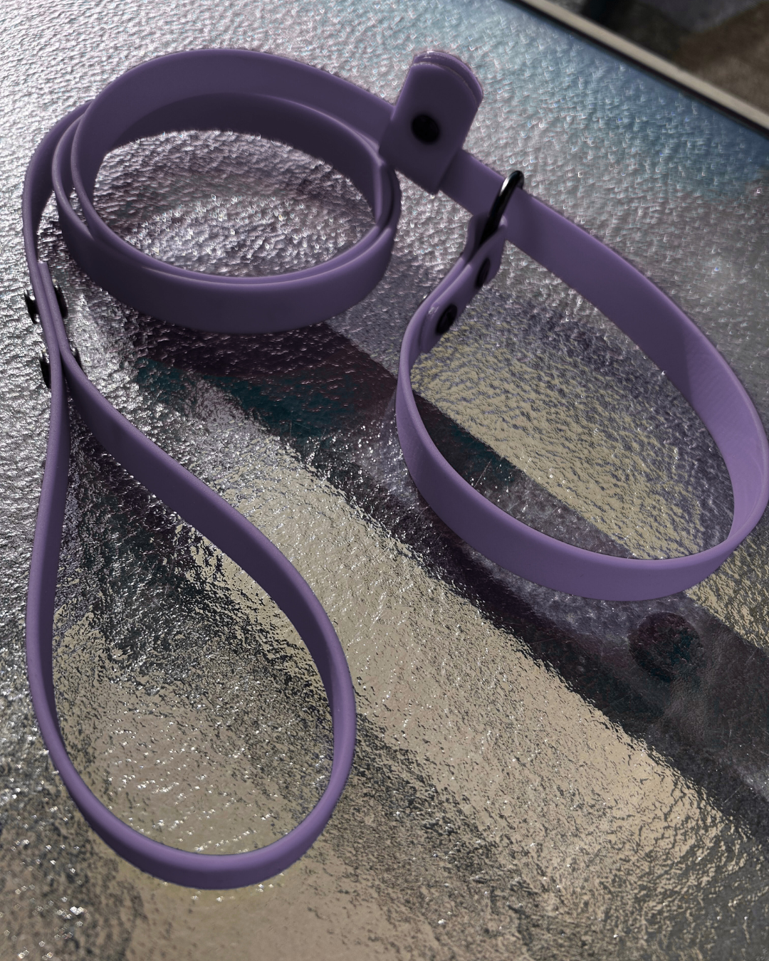 Laisse lasso en Biothane pour chien - Fait Main au Québec