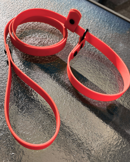 Laisse lasso en Biothane pour chien - Fait Main au Québec