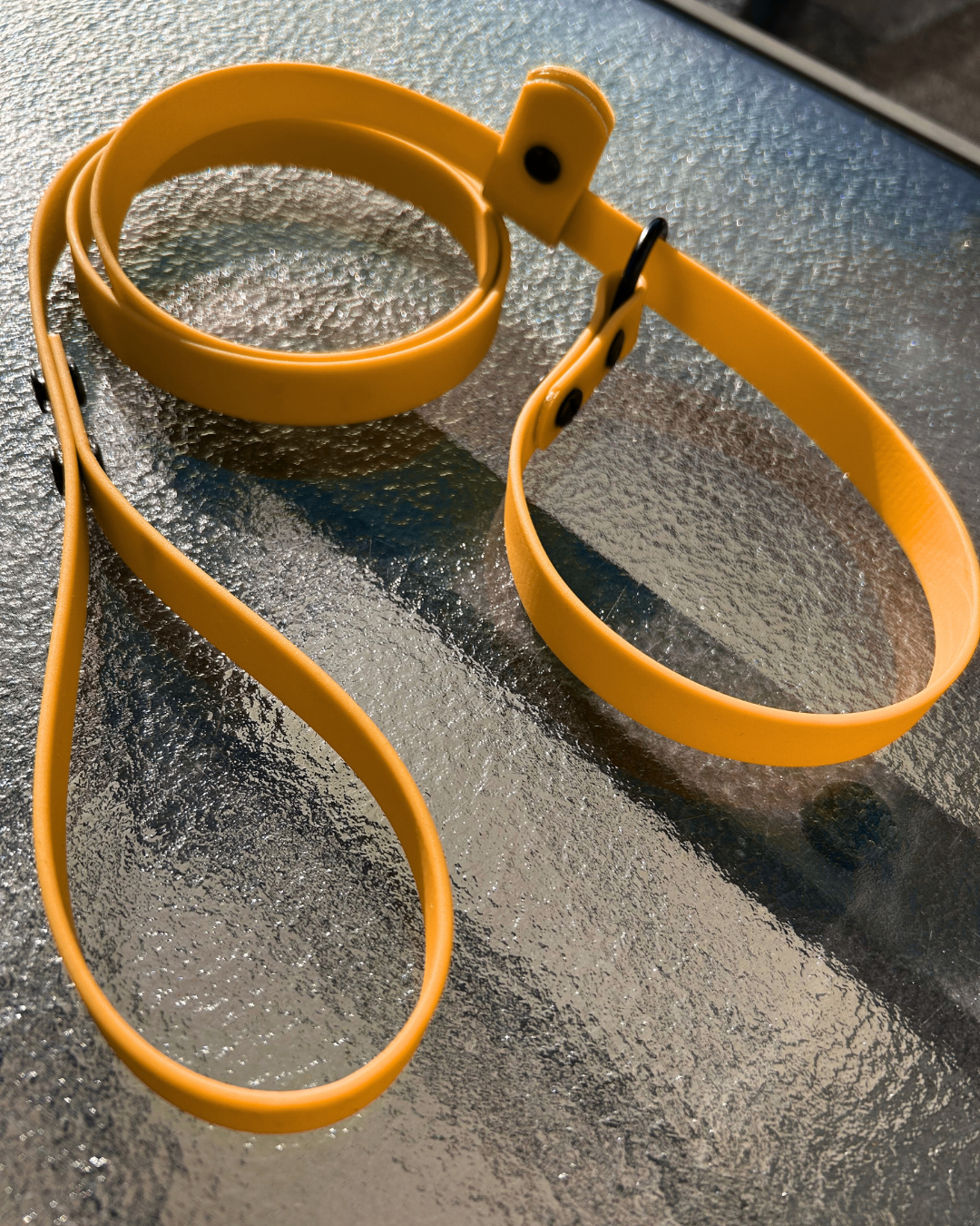 Laisse lasso en Biothane pour chien - Fait Main au Québec