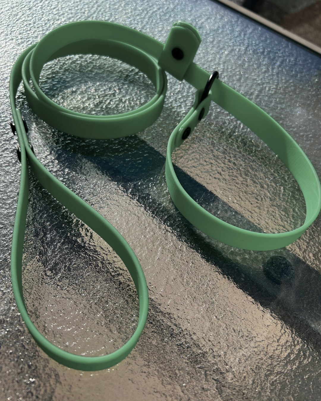 Laisse lasso en Biothane pour chien - Fait Main au Québec