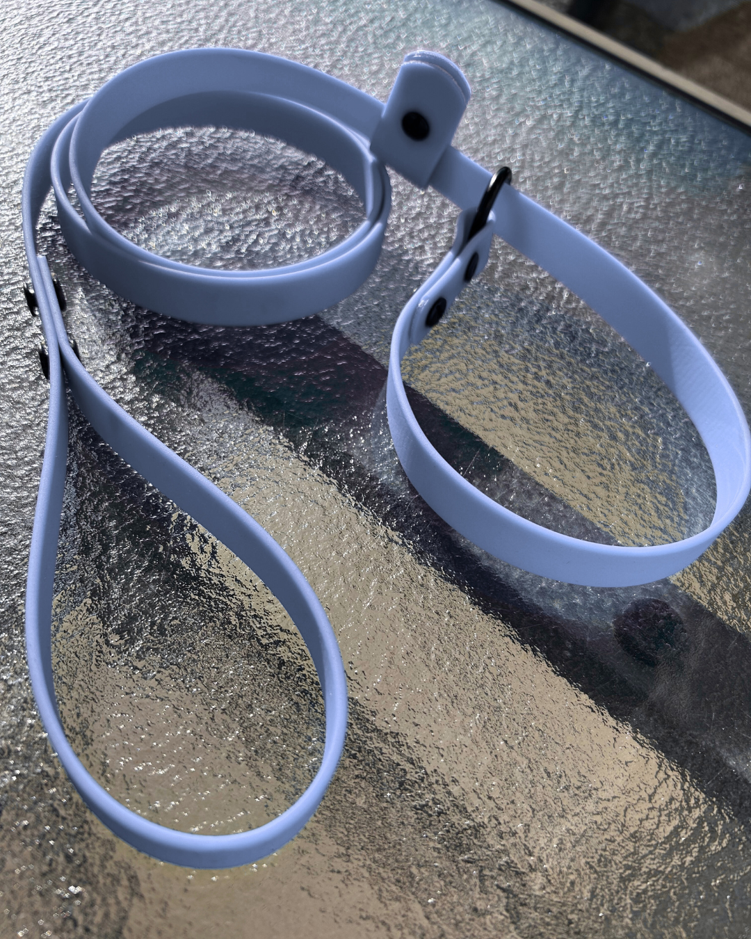 Laisse lasso en Biothane pour chien - Fait Main au Québec