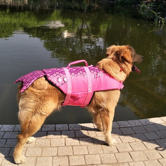 Veste de sauvetage sirène pour chien – Flottaison et style unique
