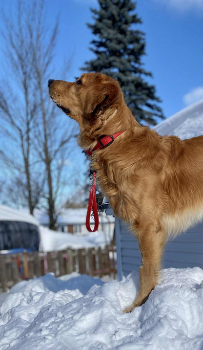 Poignée Rapprochement en Biothane pour chien - Fait Main au Québec