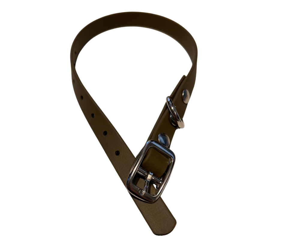 PROMO Collier en Biothane pour chat et petit chien / chiot - fait main au Québec