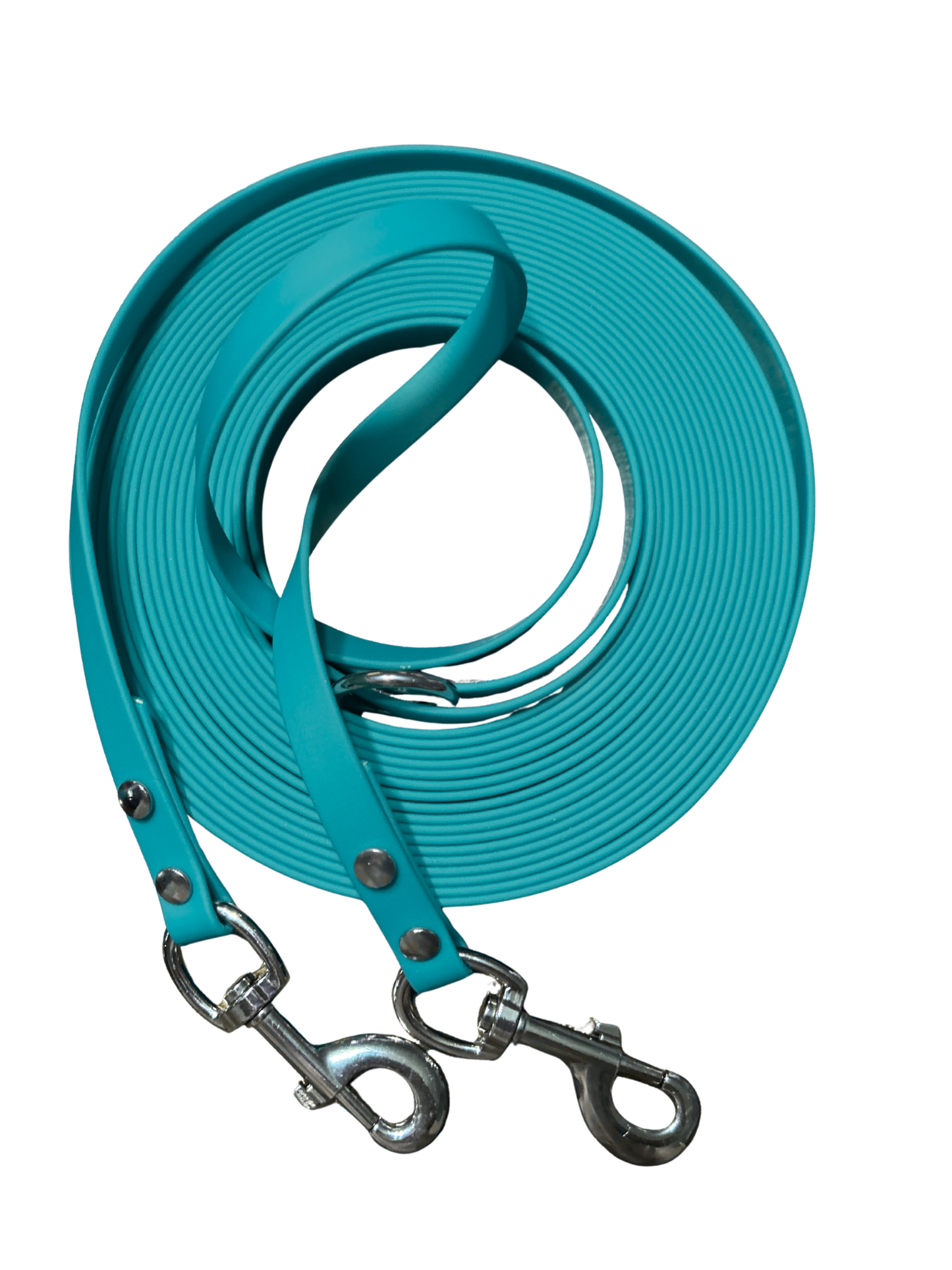 Longe TWO SNAP pour Chien en Biothane – Fait Main au Québec