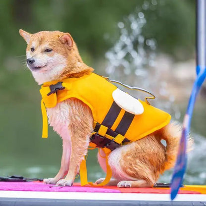 Veste de sauvetage abeille jaune et noire pour chien – Sécurité et visibilité
