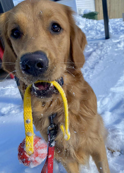 Balle TUG pour Chien en Biothane – Version Heavy ou GRIP