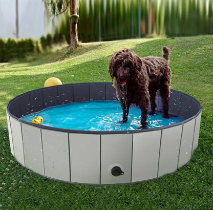 Piscine pliable pour chien