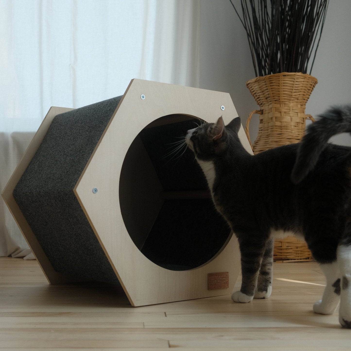 Maison pour Chat Hexagonale – Design Moderne et Surface à Griffer