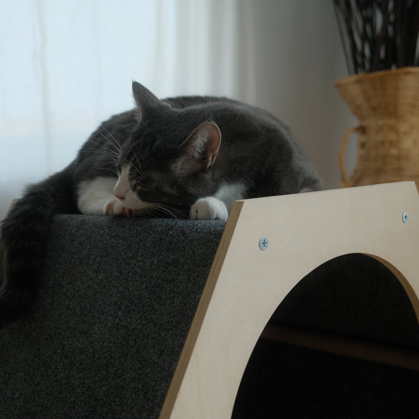 Maison pour Chat Hexagonale – Design Moderne et Surface à Griffer