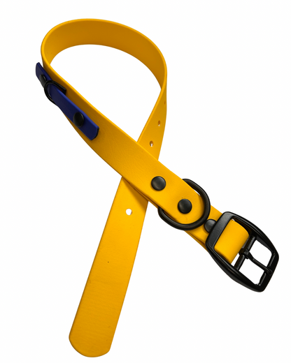 Collier 1’’ en Biothane pour chien- Fait Main au Québec - Montoutous 