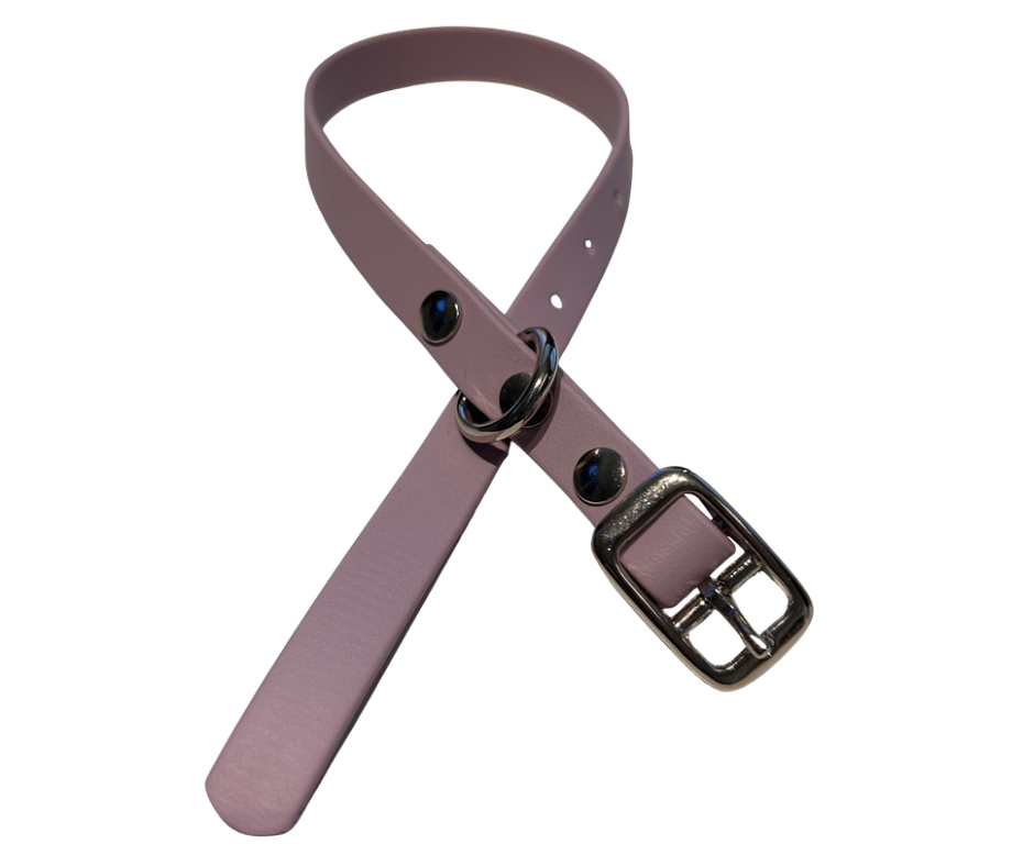 PROMO Collier en Biothane pour chat et petit chien / chiot - fait main au Québec