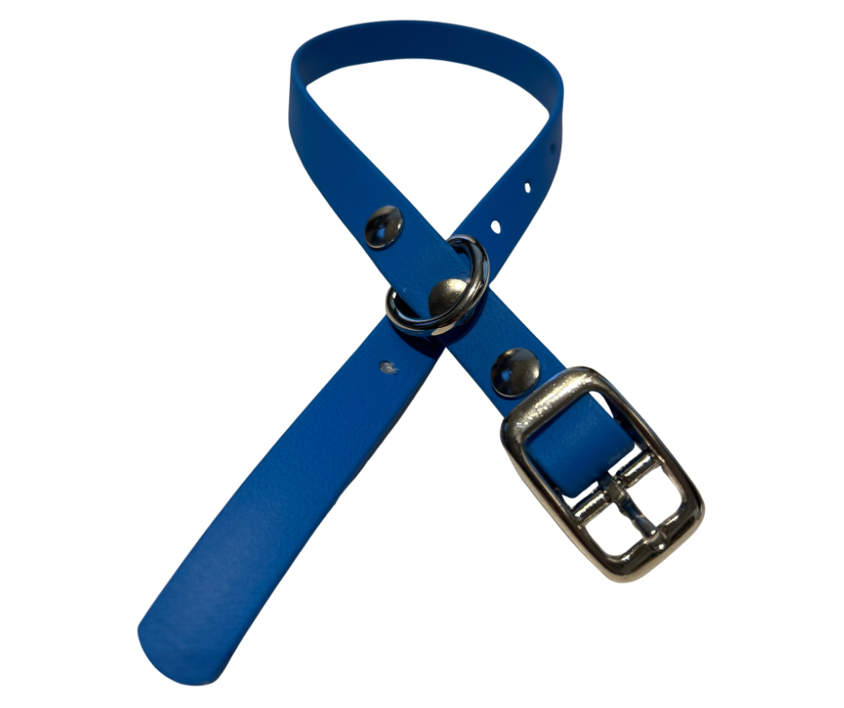 PROMO Collier en Biothane pour chat et petit chien / chiot - fait main au Québec
