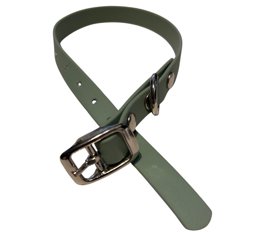 PROMO Collier en Biothane pour chat et petit chien / chiot - fait main au Québec