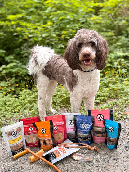 Boîte surprise de friandises et mastications naturelles pour chien – Mastics Big Box