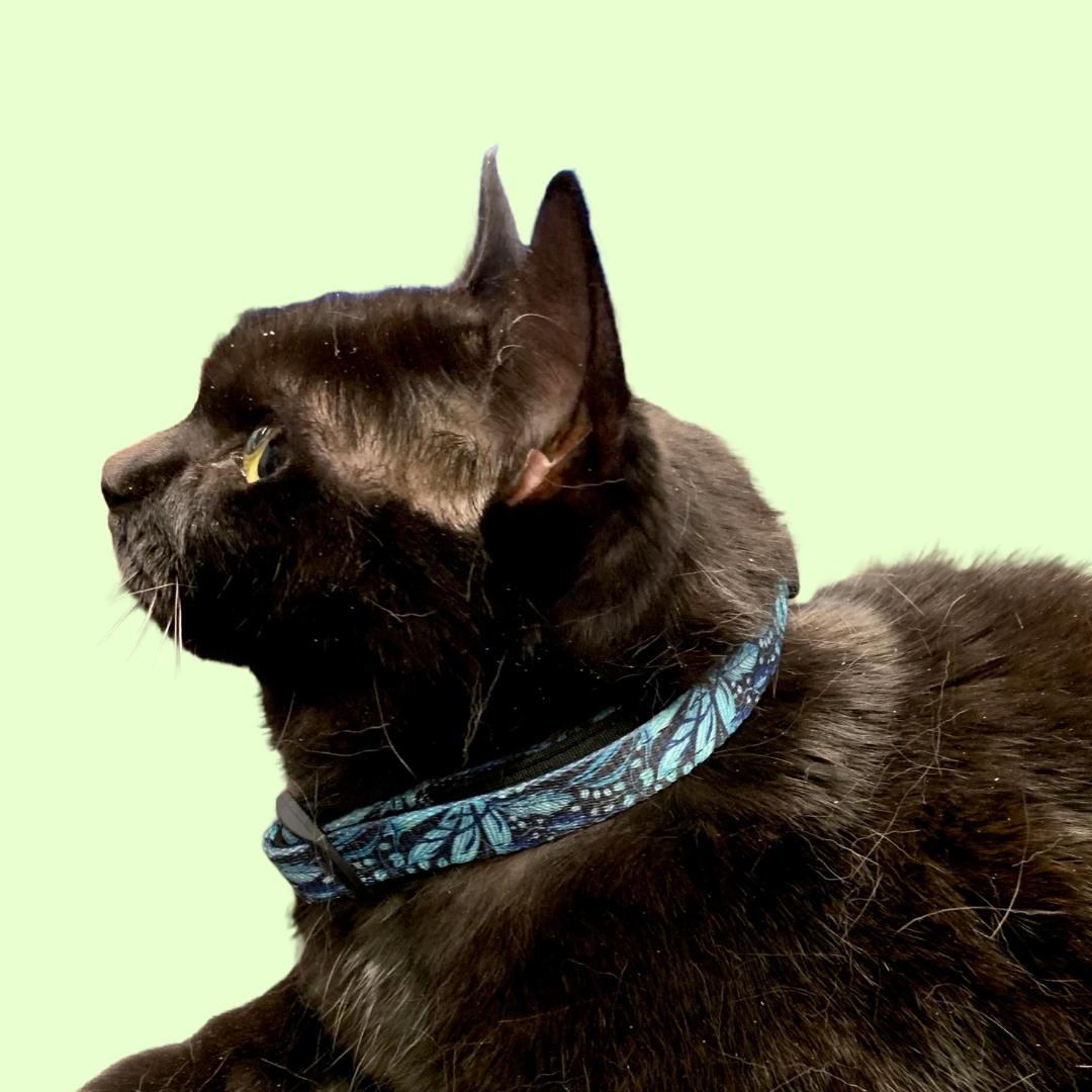 Ensemble “Dans la jungle” – Harnais, laisse et collier pour petit chien ou chat  79,99 $