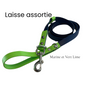 Longe / laisse - 3/4 - (50 pied) pour Chien en Biothane – Fait Main au Québec - Montoutous 