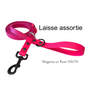 Laisse 3/4 (72’’ pouce ( 6 pied)) pour Chien en Biothane – Fait Main au Québec - Montoutous 