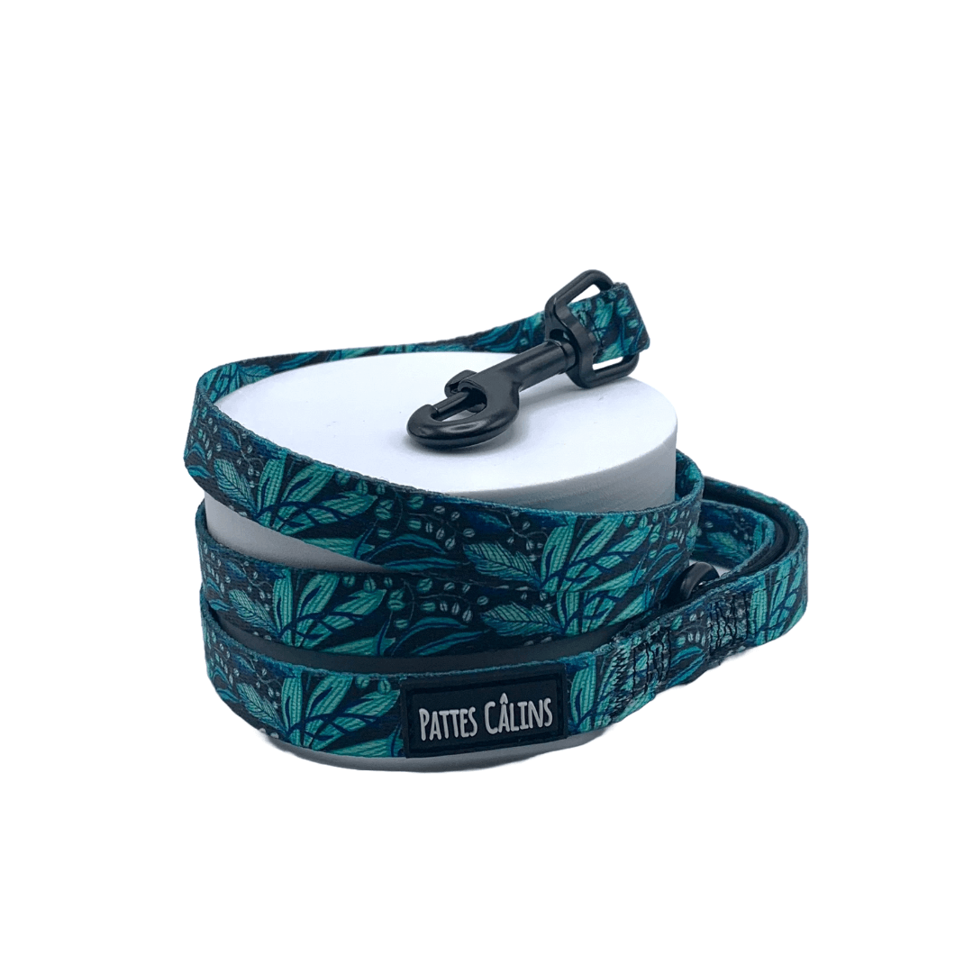 Ensemble “Dans la jungle” – Harnais, laisse et collier pour petit chien ou chat  79,99 $