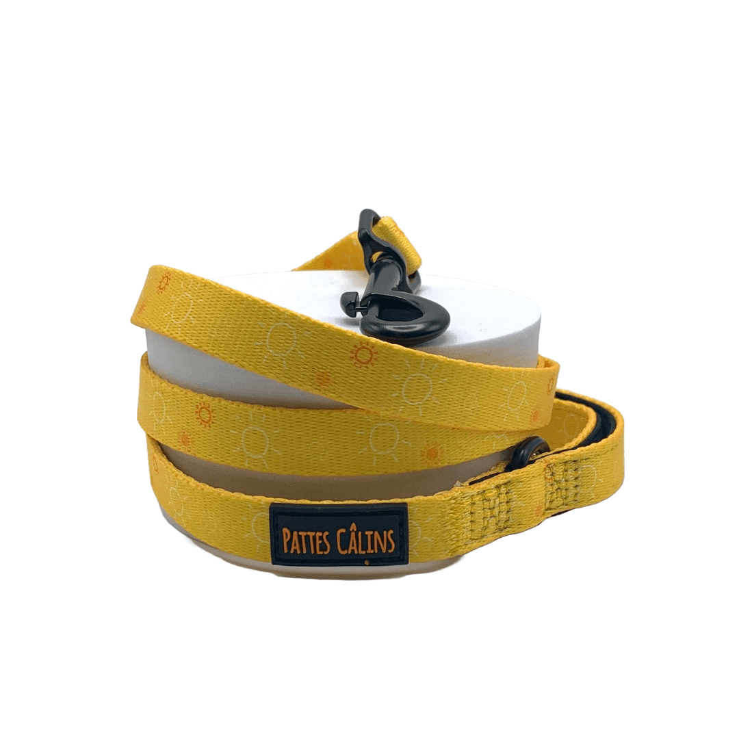 Ensemble “Rayon de soleil” – Harnais, laisse, collier + pochette à sacs à crottes | 84,99 