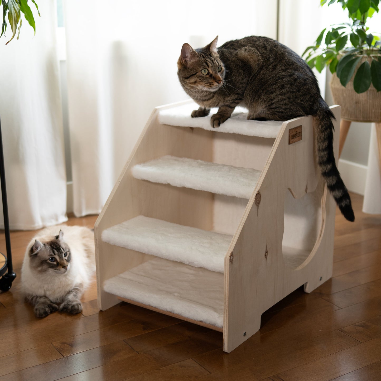 Cachette Escalier – Confort et Jeu pour Chats et Petits Chiens
