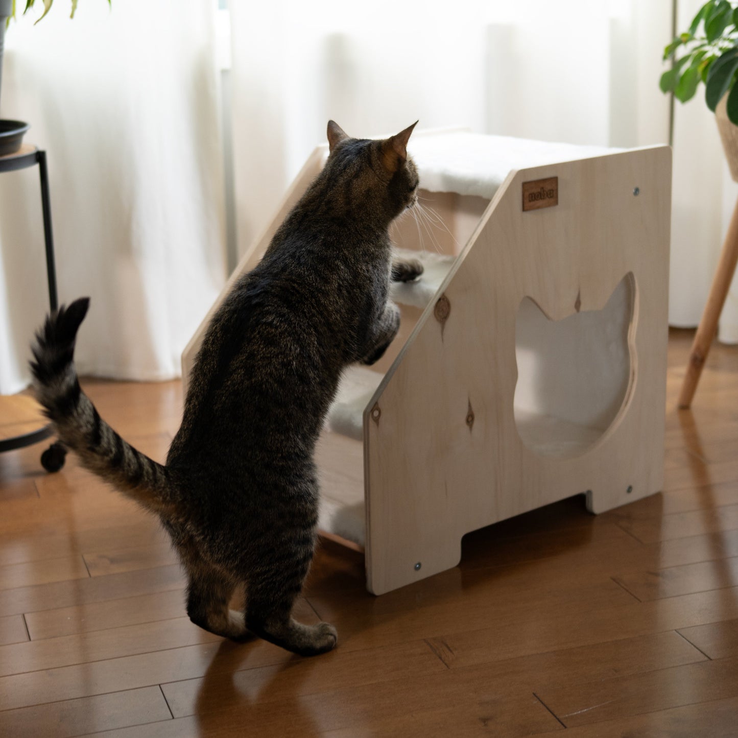 Cachette Escalier – Confort et Jeu pour Chats et Petits Chiens