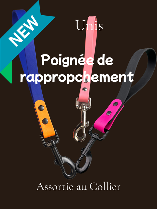Poignée Rapprochement en Biothane pour chien - Fait Main au Québec - Montoutous 