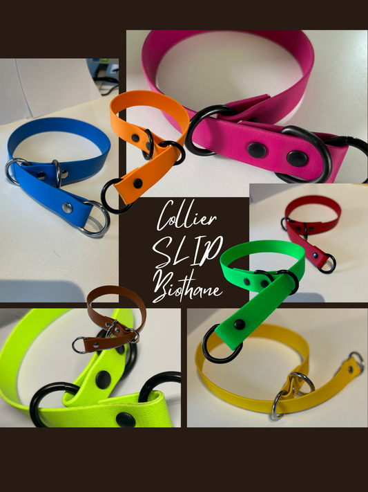 Collier Slip 3/4 en Biothane pour chien –  Fait Main au Québec - Montoutous 