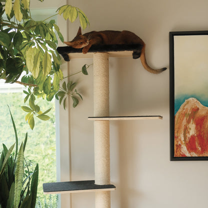 Kit Mural pour Chat – Aire de Jeu Murale Complète et Modulable