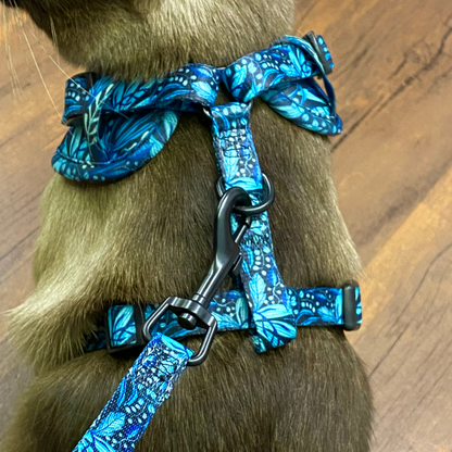 Ensemble “Dans la jungle” – Harnais, laisse et collier pour petit chien ou chat  79,99 $