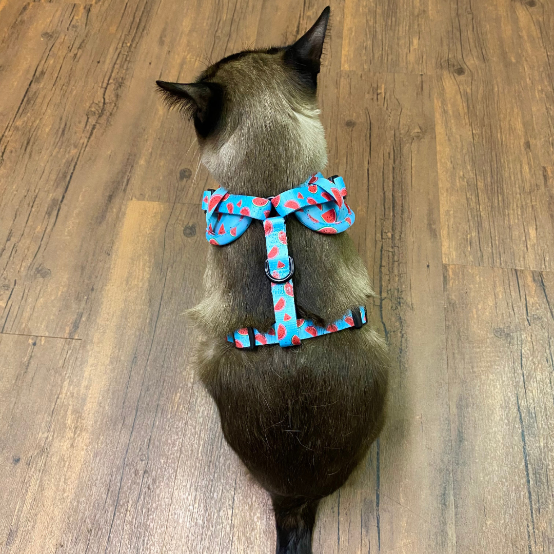 Ensemble “Melon” – Harnais, laisse et collier en tissu pour petit chien ou chat | 79,99$ 