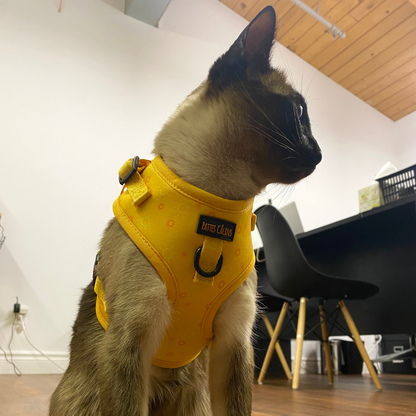 Ensemble “Rayon de soleil” – Harnais, laisse, collier + pochette à sacs à crottes | 84,99 