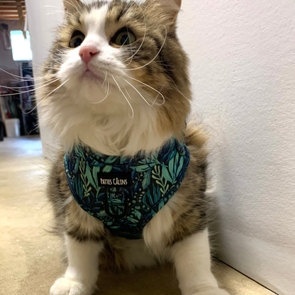 Ensemble “Dans la jungle” – Harnais, laisse et collier pour petit chien ou chat  79,99 $