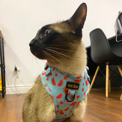 Ensemble “Melon” – Harnais, laisse et collier en tissu pour petit chien ou chat | 79,99$ 