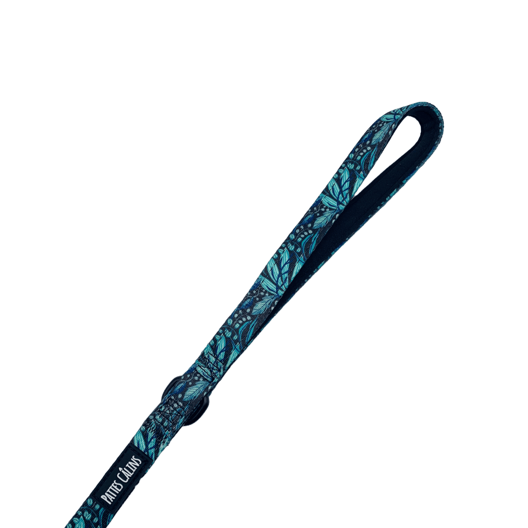 Ensemble “Dans la jungle” – Harnais, laisse et collier pour petit chien ou chat  79,99 $