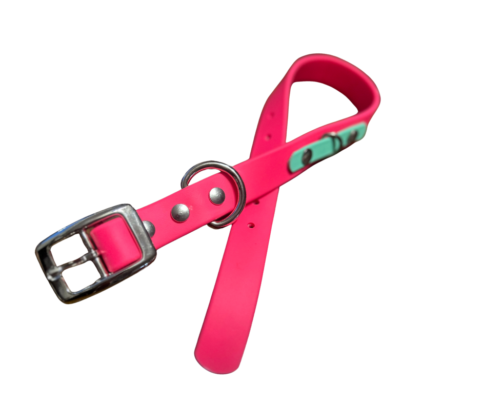 Promo Spéciale sur le Collier standard 1" en Biothane pour Chien – Fait Main au Québec