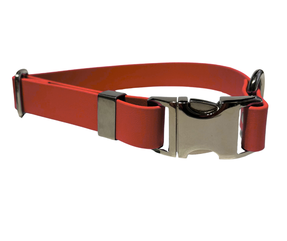 Collier en Biothane pour chien – Boucle en aluminium à attache rapide