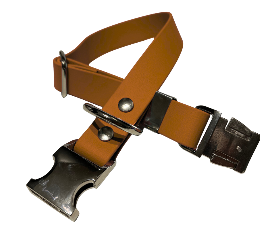 Collier en Biothane pour chien – Boucle en aluminium à attache rapide
