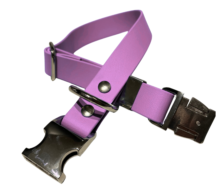 Collier en Biothane pour chien – Boucle en aluminium à attache rapide