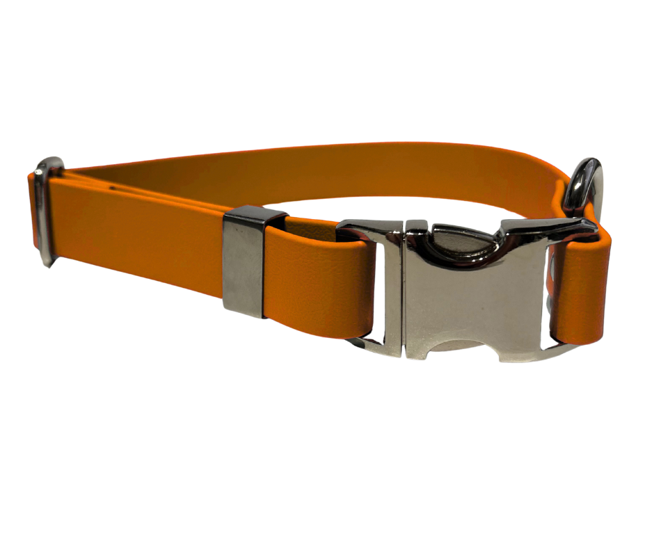 Collier en Biothane pour chien – Boucle en aluminium à attache rapide