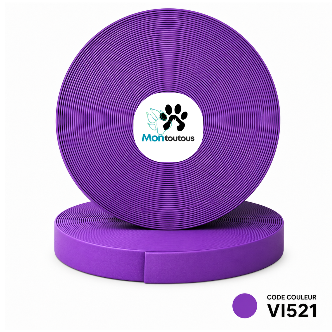 Collier Slip en Biothane pour chien - Fait Main au Québec