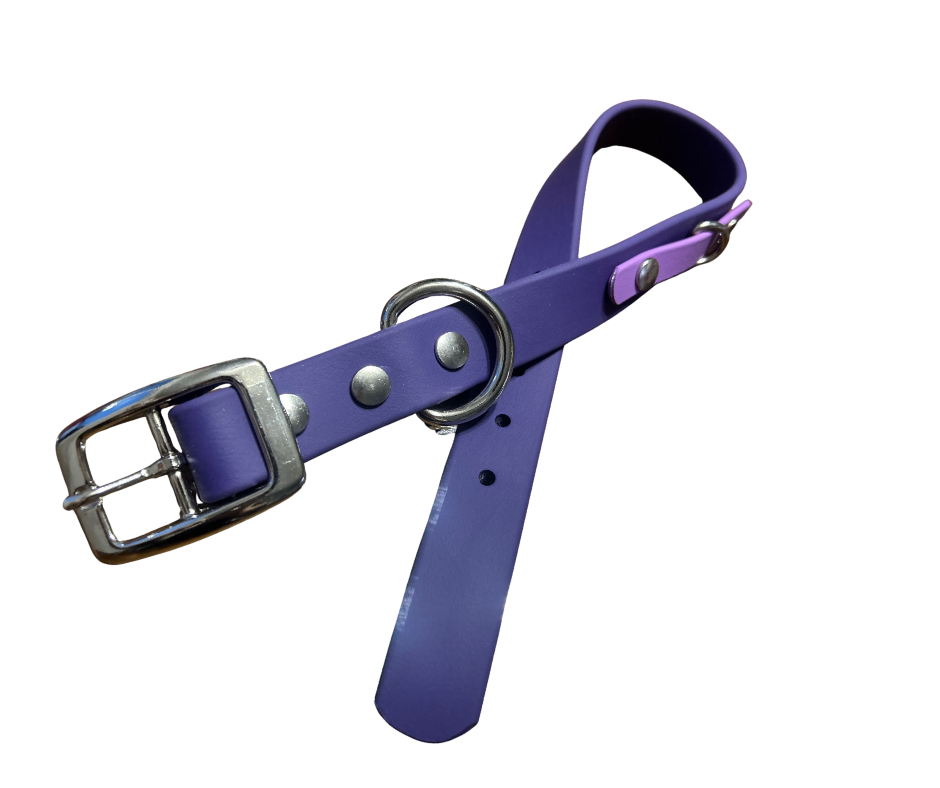 Promo Spéciale sur le Collier standard 1" en Biothane pour Chien – Fait Main au Québec