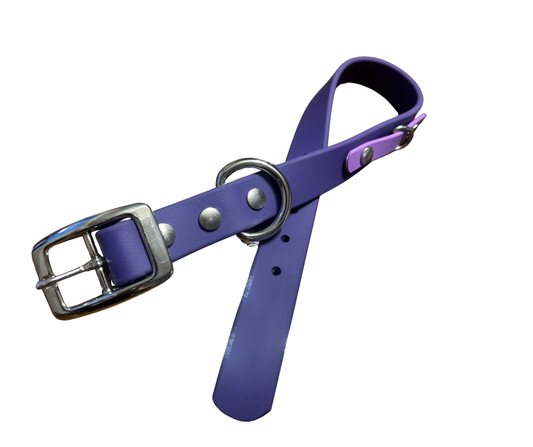 Promo Spéciale sur le Collier standard 1" en Biothane pour Chien – Fait Main au Québec