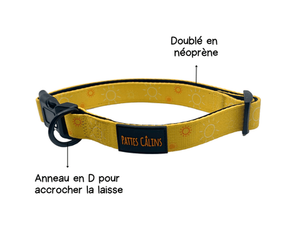 Ensemble “Rayon de soleil” – Harnais, laisse, collier + pochette à sacs à crottes | 84,99 