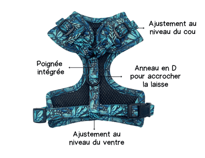 Ensemble “Dans la jungle” – Harnais, laisse et collier pour petit chien ou chat  79,99 $