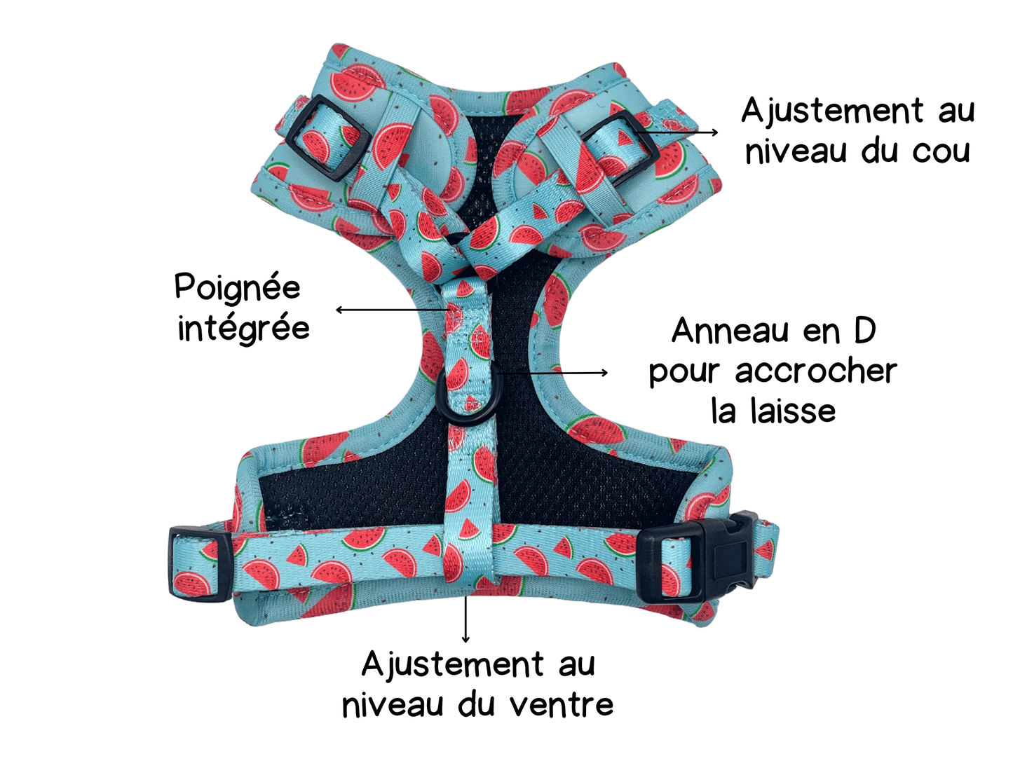 Ensemble “Melon” – Harnais, laisse et collier en tissu pour petit chien ou chat | 79,99$ 